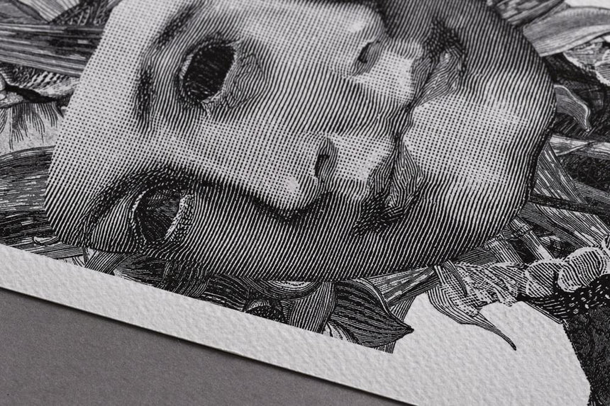 Illustration Sample Pack